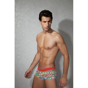 Multicolor Boxershorts