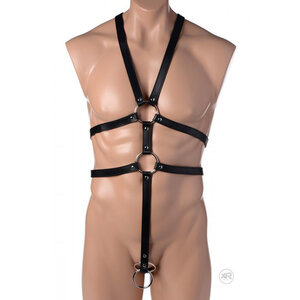 Body Harness