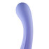 Slightly Curved Dildo_