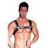 Harness aus schwarzem Leder_