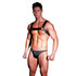 Harness aus schwarzem Leder_