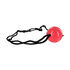 Apprentice Ball Gag_