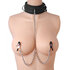 Submission Collar And Nipple Clamp Union_