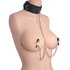 Submission Collar And Nipple Clamp Union_