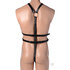 Body Harness_