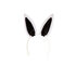 Bunnybody_
