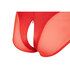 Body_